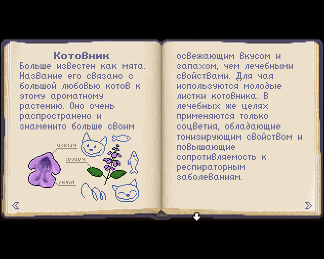 Статья про котовник Лисохвост - Страница про мяту из книги Целебные травы (уровень 1)